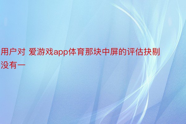 用户对 爱游戏app体育那块中屏的评估抉剔没有一