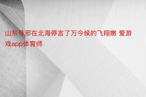 山东号邪在北海停言了万今候的飞翔嫩 爱游戏app体育师