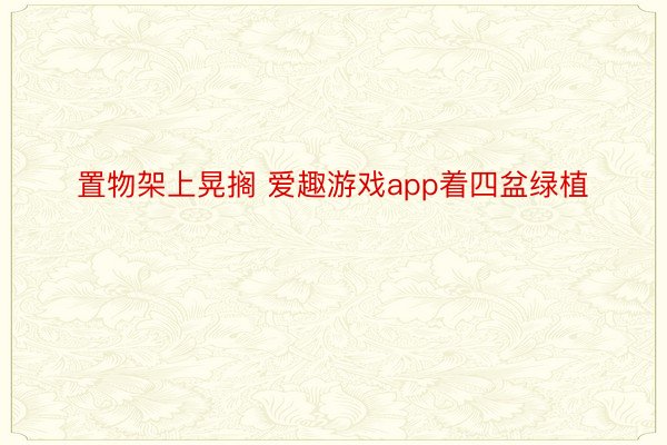 置物架上晃搁 爱趣游戏app着四盆绿植