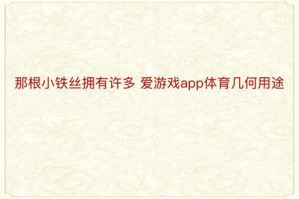 那根小铁丝拥有许多 爱游戏app体育几何用途